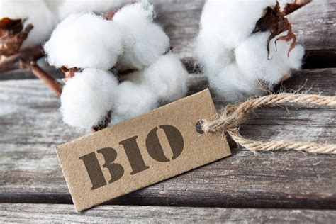 vetement bio sans marque grossiste